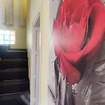 Casa Miky